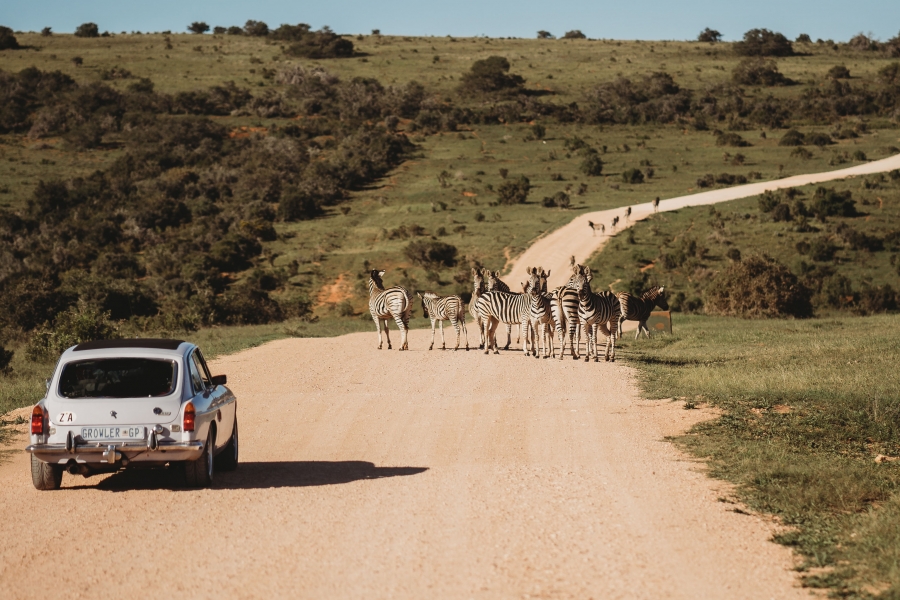 FIH Fotografie » Zuid Afrika